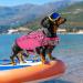 Alagirls Pink Dog Life Jacket for Swimming & Beach | Costume for Small Dogs (Chest 47-61cm) - Ideal for Safety & Fun! - Buy Online on GoSupps.com