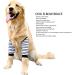 Soft and Breathable Dog Elbow Brace Protector Prevent Licking and Wearable Striped Design for Enhanced Style and Functionality (5XL) - Buy Online on GoSupps.com