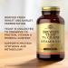 Solgar Brewer's Yeast 7 Grains with Vitamin B12 - 500 Tablets (Pack of 2) - Non-GMO Vegan Dairy Free Kosher - 82 Servings - Buy Online on GoSupps.com