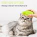 Steamy Cat Brush - 3 in 1 Cat Steamer Brush Cat Spray Massage Comb Multifunctional Dog Steamer Brush Cat Grooming Brush Pet Hair Removal Comb for Cat (Green) - Buy Online on GoSupps.com