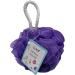 Generic Champneys Treatments Seaweed & Salt Scrub 250g with Free Coral Exfoliating Body Puff Any Colour - Buy Online on GoSupps.com