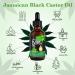 Jamaican Black Castor Oil Black Castor Oil 100% Pure Natural Castor Oil Organic Treatment for Damaged Hair & Dry Skin Cold Pressed Oil for Hair Growth Eyebrows Eyelashes Nails and Skin (60ml) - Buy Online on GoSupps.com