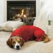 Geyecete Dog Drying Coat - Microfibre Fast Drying Bathrobe Towel - Medium Red - Buy Online on GoSupps.com