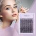 240pcs D Curl 40D 0.07 Cluster Eyelash Extensions | Soft Natural False Lashes DIY At-Home | 9-15mm Mix 40D-D-0.07 - Buy Online on GoSupps.com