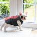 Dog Winter Coat Waterproof Dog Jacket Vest for Medium Large Dogs Warm Pet Coats with Harness Outdoor Puppy Coat Vest Reflective Winter Dog Clothes for Beagle Chenery Dachshund(L/43cm Pink) L/43cm Pink - Buy Online on GoSupps.com