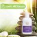 Shampoo for All Hair Types - Jasmine & Clementine | 12 oz - Hydrating & Nourishing Formula | International Shipping - Buy Online on GoSupps.com