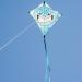 In The Breeze 30 Graphic Diamond Kite Shark - Buy Online on GoSupps.com