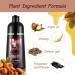 500ML Argan Oil 3-in-1 Hair Color Shampoo for Gray Hair - Light Brown Instant Dye for Men & Women - Buy Online on GoSupps.com