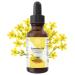 Relaxcation Pure Camelina Oil | Cold Pressed Natural Oil for Face Hair Nails & Body | Lightweight Extract to Promote Elasticity & Softness | Vegan Hexane-Free Unrefined (2 oz) 2 Fl Oz (Pack of 1)
