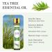 Aoruilia 10ml Tea Tree Essential Oil Pure Natural Undiluted Tea Tree Oil for Diffuser Home Cleaning Massage Bath Skin Care Soaps & Candles Making Tea Tree 10 ml (Pack of 1) - Buy Online on GoSupps.com