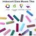LITMIND 1.6x0.4 Rectangular Iridescent Glass Mosaic Tiles - 8oz Iridescent Mix for DIY Crafts - Mixed Colors Stained Glass Strips and Mosaic Making Supplies for Adults - Buy Online on GoSupps.com