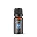 Focus Pocus Pure Essential Oil Blend 10ml by Davina