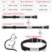 Personalized Breakaway Cat Collar with Engraved Name Tag - Adjustable Kitten Safety Collar with Bell - 7 Colors - Customizable up to 3 Lines of Text - Buy Online on GoSupps.com
