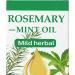  Tanxemery Hair Growth Oil | Intensive Root Stimulator 60ml Anti-Hair Loss Treatment Travel-Friendly Daily After-Cut Shampoo Hair Preparation - Buy Online on GoSupps.com
