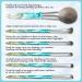 Premium Synthetic Makeup Brushes Set for Concealers Foundation Powder & Eye Shadows - International Shipping Available - Buy Online on GoSupps.com