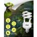 Tobebright 13W UVB Lamp 5.0 - Optimal Compact Fluorescent Lamp for Reptiles Aquariums & Terrariums | E27 AC220-240V - Buy Online on GoSupps.com