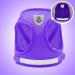 Meioro Adjustable Dog Harness & Leash Set - Reflective Soft Padded Vest for Small to Medium Dogs & Cats - Black & Purple (XL 47-52cm) - Buy Online on GoSupps.com