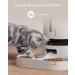 PETLIBRO Automatic Cat Feeder Camera 1080P HD Video Night Vision 5G WiFi 2-Way Audio Low Food Sensor Motion Sound Alerts 2/5L White - Buy Online on GoSupps.com