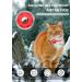 Reflective Airtag Cat Neck Band - Light Tracker Collar with Bell for Kittens & Cats - Red - Buy Online on GoSupps.com