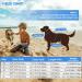 Emust Dogs Swimming Jar - Adjustable Water Safety Fuses for Small Medium & Large Dogs | International Shipping Available - Buy Online on GoSupps.com