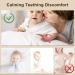 JUSONEY BABILY Bite Ring - 2 Pack Silicone Anti-Drop Toy for Babies 12+ Months - 3D Chicken & Triceratops Shape Finger Sucking Prevention Gloves - Buy Online on GoSupps.com