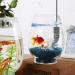 YukiHalu 10W/20W/30W Mini Aquarium Heater with Thermometer & Controller - LED Display, Ideal for 0.5-3 Gallon Tanks (USB Powered) - Buy Online on GoSupps.com