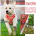 Heele Dog Crockery & Reflective No-Pull Harness for Small Dogs - Adjustable Padded Breast Harness & Dish in XS Flower Red - Buy Online on GoSupps.com