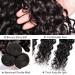 Water Wave Bundles - Brazilian Virgin Human Hair Extensions | 100% Remy Human Hair - Wet & Wavy | 16 18 20 - Natural Color - Buy Online on GoSupps.com