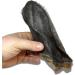 HAIRY Buffalo Ears Natural Dog Chew Treat Grade A Quality Large Ear -Pawstrading (25) - Buy Online on GoSupps.com