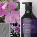 Theorie Purple Sage Brightening Conditioner for Blonde & Silver Hair - Eliminate Brassiness & Yellows | Argan Marula Grape Seed Oil - 400mL - Buy Online on GoSupps.com