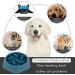 DPoegts Slow Feeder Dog Bowl - Anti-Gulping Interactive Food and Water Bowl for Small/Medium Dogs (Bone-Blue) - Buy Online on GoSupps.com