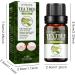 Eteslot 100% Pure Tea Tree Oil Natural Essential Oil for Skin Cell Activation Pore Shrinkage Aromatherapy & Diffuser - 10ml - Buy Online on GoSupps.com
