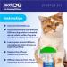 TeddyDo Calming Diffuser Refill for Cats | Pack of Two| 60 Days Kit | Reduce Spraying Scratching and Other Problematic Behaviors | Calming and Relaxing Effect | 2x48 ml | - Buy Online on GoSupps.com