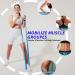 Premium Resistance Bands Set for Workout & Physical Therapy | 3 Exercise Bands for Pilates Stretching Strength Training & Yoga - 1.5M/4.9ft - Buy Online on GoSupps.com
