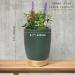 Earnest Living Essential Oil Diffuser - Ceramic Succulent Pot 100ml Night Light Timer & Auto-Off Function for Lavender Aromatherapy - Buy Online on GoSupps.com