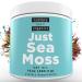 Nurture Nutri Just Sea Moss Powder (10oz / 283g) | Sea Moss Organic | Irish Sea Moss Organic Raw | Seamoss Raw Organic | Sea Moss Powder | Irish Moss Powder |