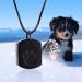 Personalized Memorial Jewelry - Custom Dog Ash Necklace with Photo & Text - Elegant Pet Urn Necklace - Black Chain - Buy Online on GoSupps.com