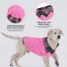 Cit toile Warm Dog Sweater - Turtleneck Knitted Coat for Small & Medium Pets | Stylish Autumn Winter Puppy Clothing in Large Pink - Buy Online on GoSupps.com