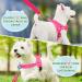 Eyein No-Pull Dog Harness with Leash - Soft Padded Adjustable & Reflective Breast Dishes for Puppies Small & Large Dogs Cats - Pink XXS - Buy Online on GoSupps.com