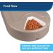 PetSafe 5 Meal Dog Food Dispenser - Automated Meal Planning for Dogs - Stores Up to 5 Cups of Kibble - Programmable Timer for Precise Feeding Schedule - Buy Online on GoSupps.com