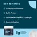 Bettervits Creatine Monohydrate Powder | Micronised | Pre & Post Workout | Unflavoured | 300g | 60 Servings - Buy Online on GoSupps.com