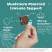 Fx Chocolate Defend - Sugar Free Adaptogen Mushroom Chocolate Supplement - Energy + Immune Support - Cacao, Reishi - Keto, Vegan, Non-GMO - 30 Pieces - Buy Online on GoSupps.com