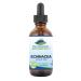 Pure Mountain Botanicals Liquid Echinacea Drops Kosher Tincture Alcohol Free Extract - 500mg Organic Echinacea -1oz Bottle