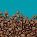 Coffee Direct Kenya Blue Mountain Coffee Beans 908 g - Buy Online on GoSupps.com