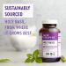 New Chapter Holy Basil Force - 120 Vegetarian Capsules for Stress Relief & Wellness - Buy Online on GoSupps.com