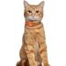Buy Oopsdoggy Airtag Leather Cat Collar with Bells - Durable & Lightweight GPS Pet Collar for Cats & Small Dogs (Orange) - Buy Online on GoSupps.com