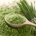 Organic Barley Grass Capsules - 180 Vegan Capsules | Fine Ground Additive-Free | Controlled Organic Cultivation - Achterhof - Buy Online on GoSupps.com