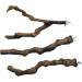 Natural Grapevine Bird Perch Toy Set - 5 PCS for Parrot Cages - Swing & Chewing Fun for Cockatiels, Parakeets, Finches - Buy Online on GoSupps.com