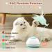 Pawaboo 2 in 1 Electric Cat Toys USB Rechargeable Automatic Cat Exercise Teaser Toy with 3pcs Replacement Indoor Interactive Cat Toy Pop and Play Feather Teaser Wand Toy for Cat Kitten Kitty Green - Buy Online on GoSupps.com