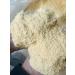 STOREX Fine Saw Dust Bedding Wood Shavings Bale Suitable for All Animals 1Kg 2Kg 5Kg 10Kg Bags (1Kg) - Buy Online on GoSupps.com